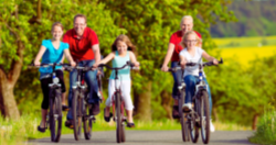 Radwegverbindung Tröstau-Nagel - Radweg im Wald